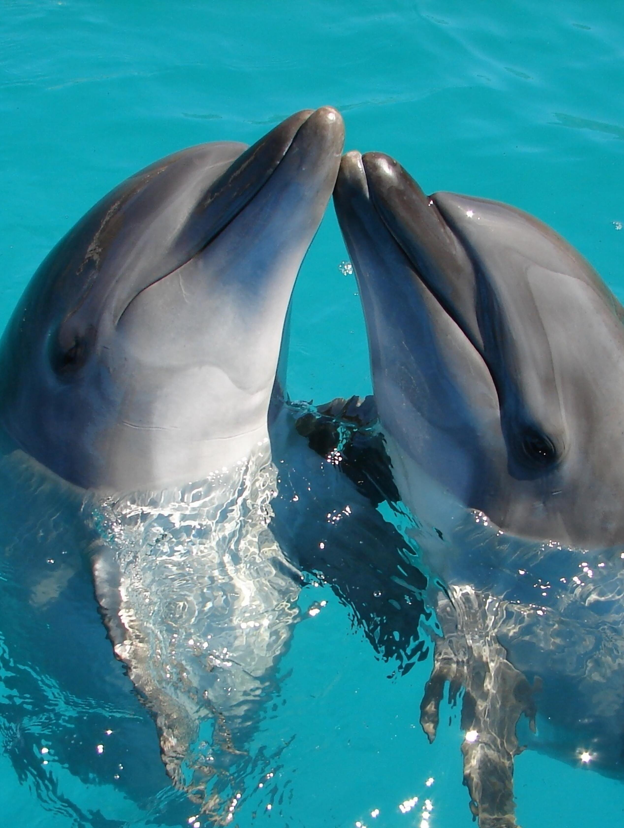 PARC ACUÀTIC MARINELAND